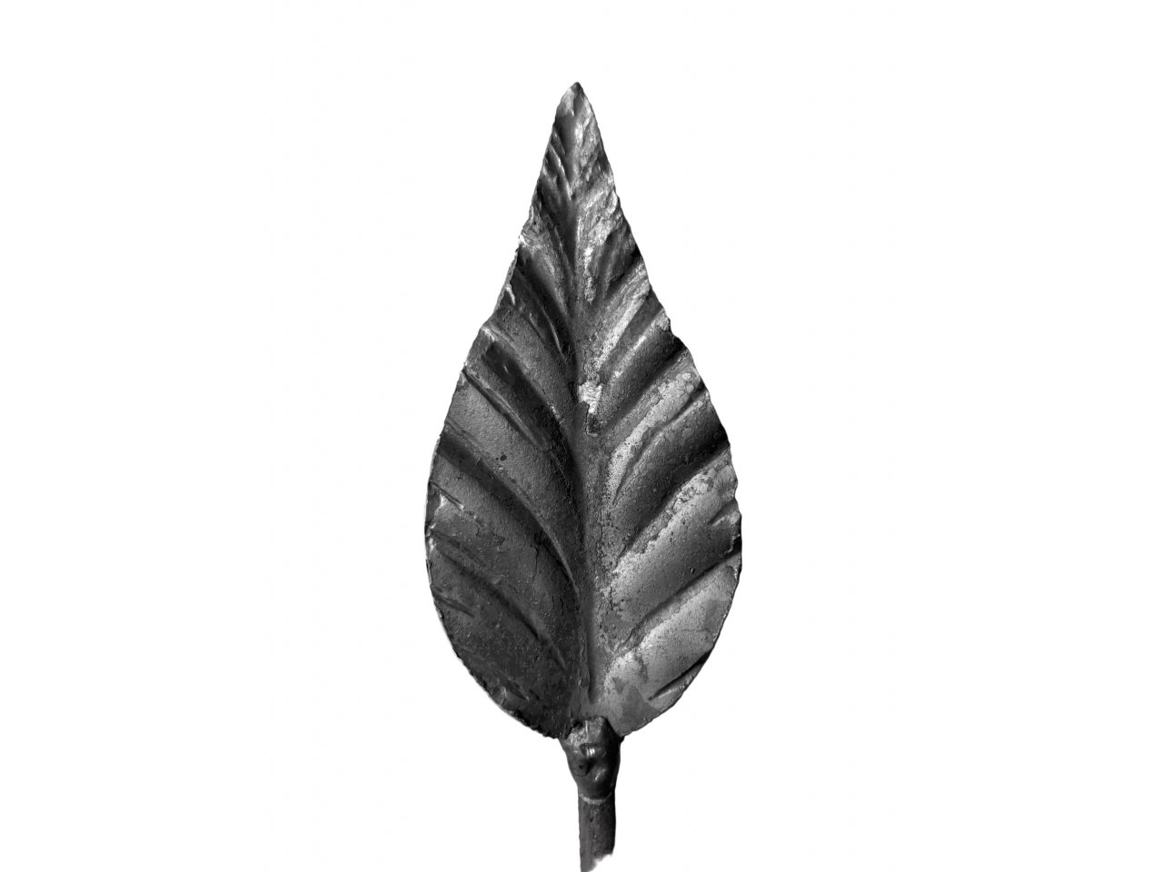 J.01 J.01