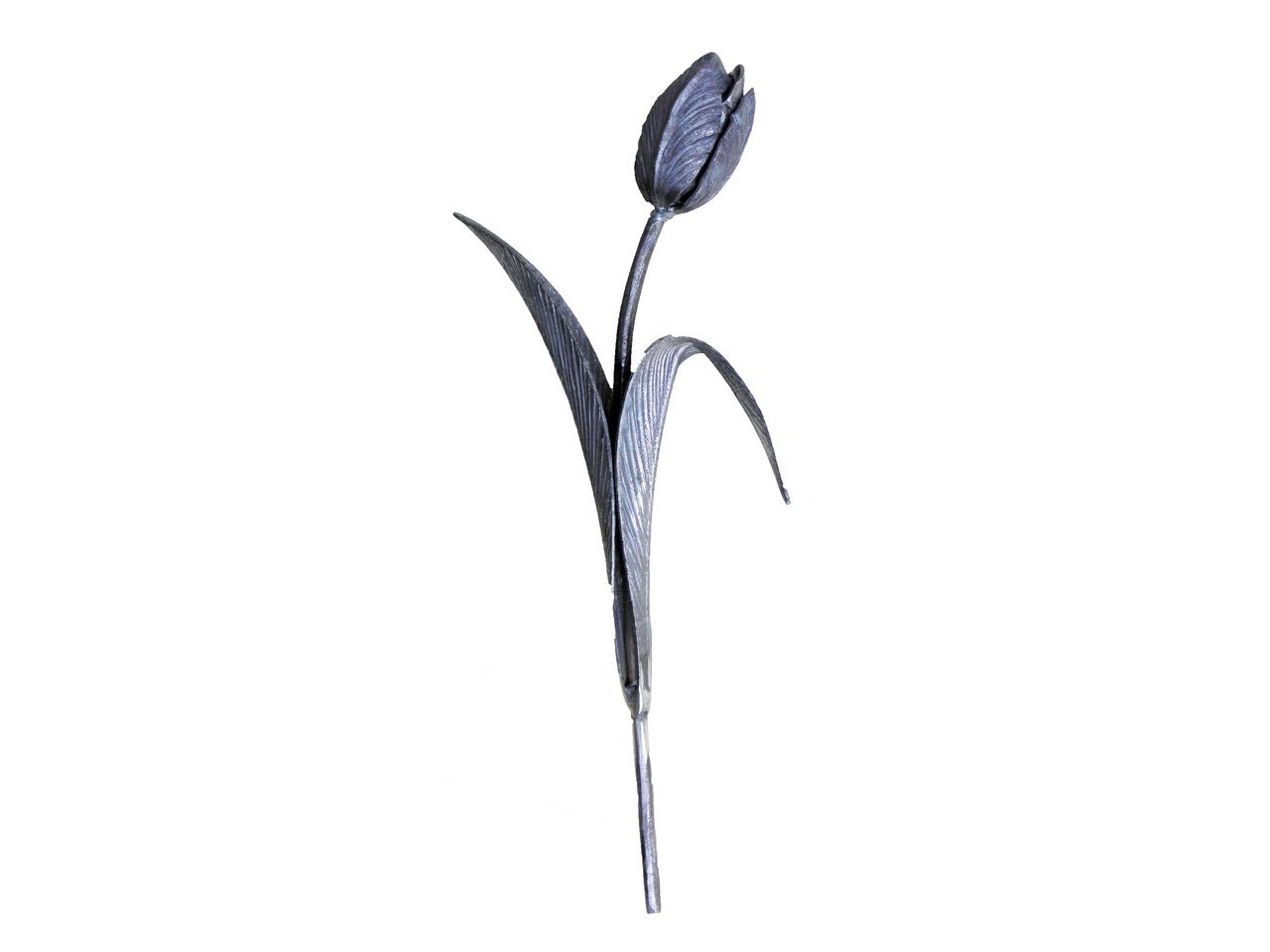 Stalowy kuty kwiat tulipan